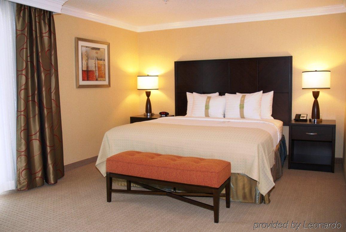 Holiday Inn & Suites San Mateo - Sfo By Ihg Room photo